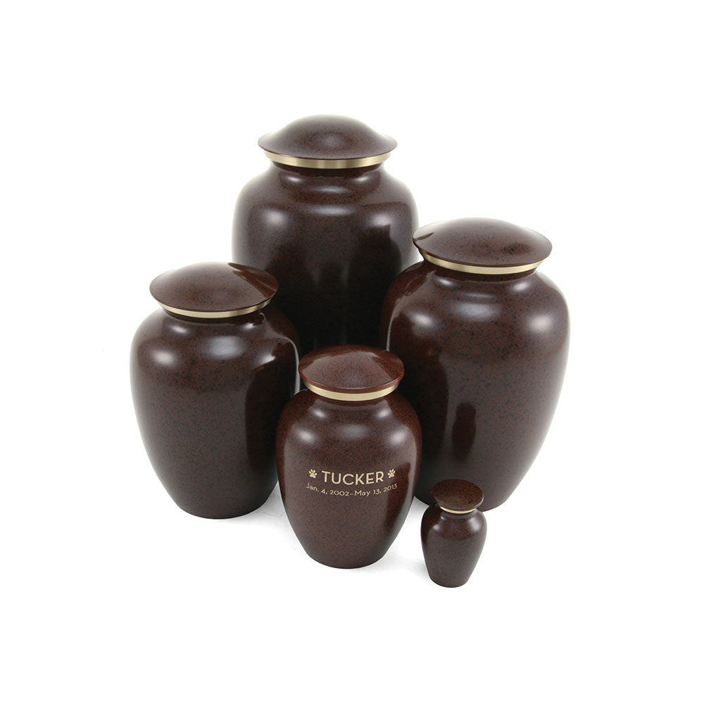 2710-MAUS-Earth-Ensemble