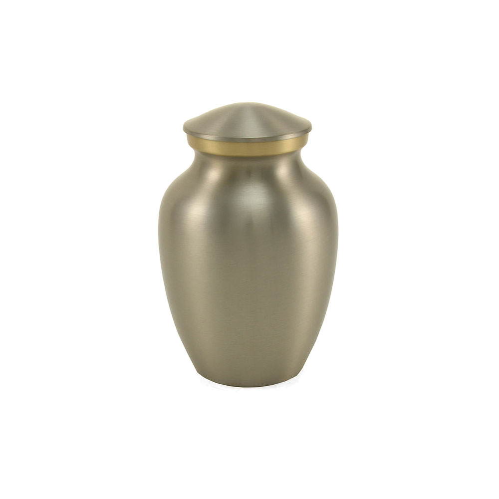 9501XS-Classic-Pet-Pewter-XS