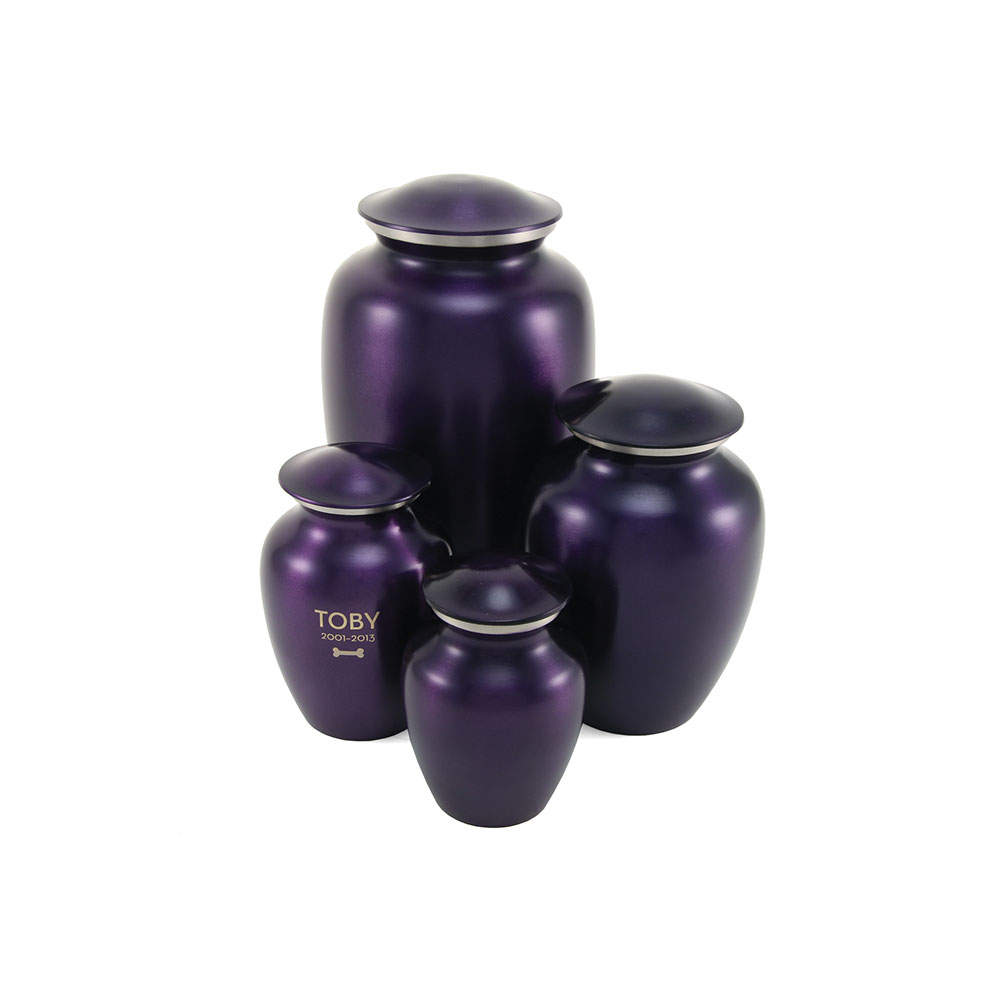 9505-Violet-Classic-Pet-Ensemble