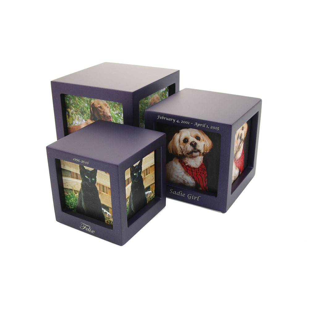 CMPC15-Violet-Photo-Cubes-Violet-Ensemble