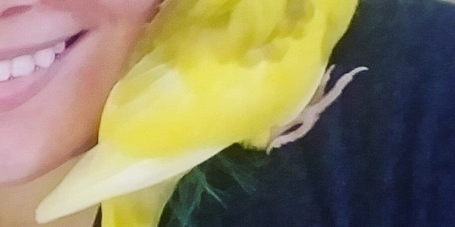 pikachu-2