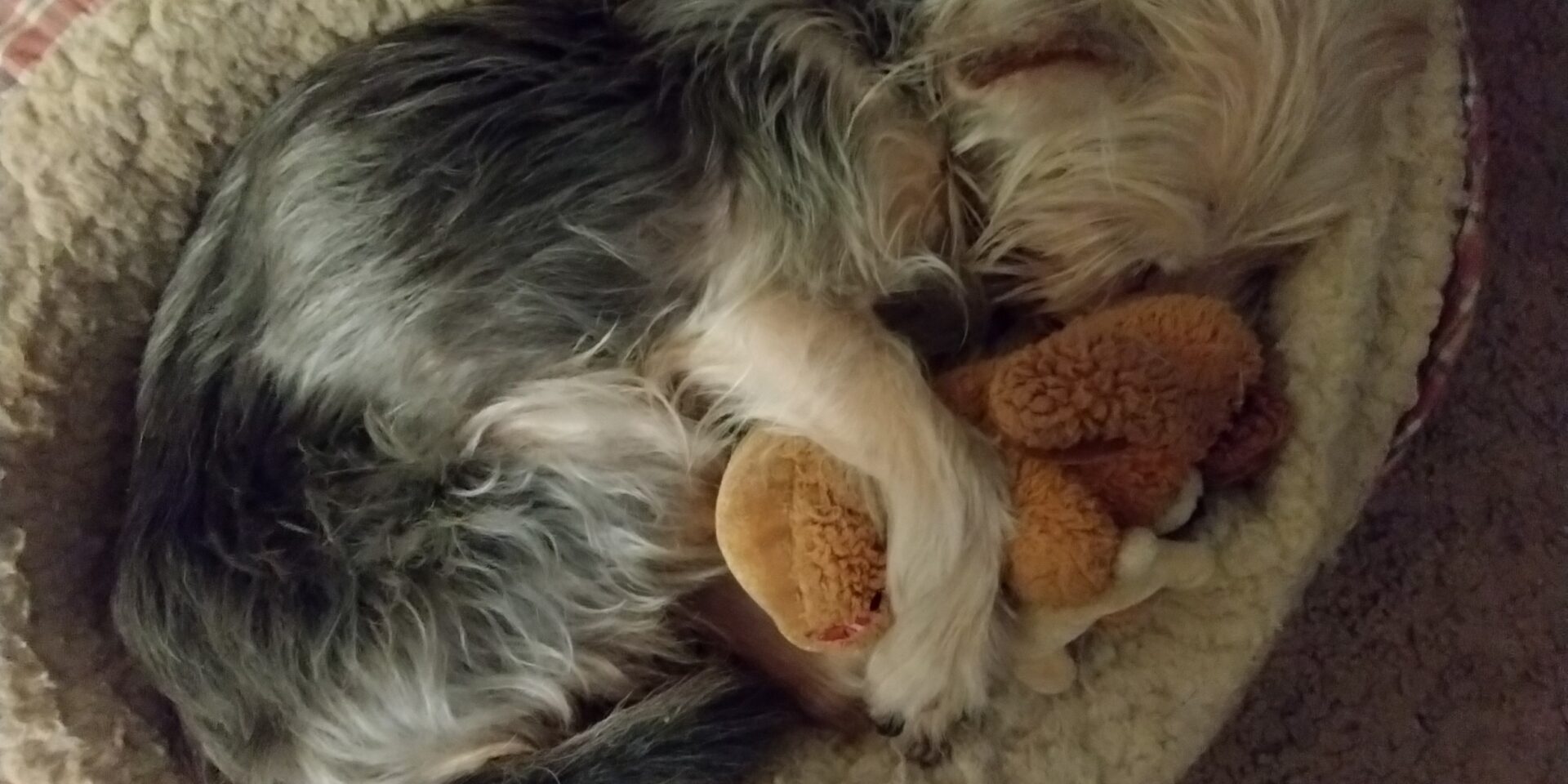 scrappynbaby
