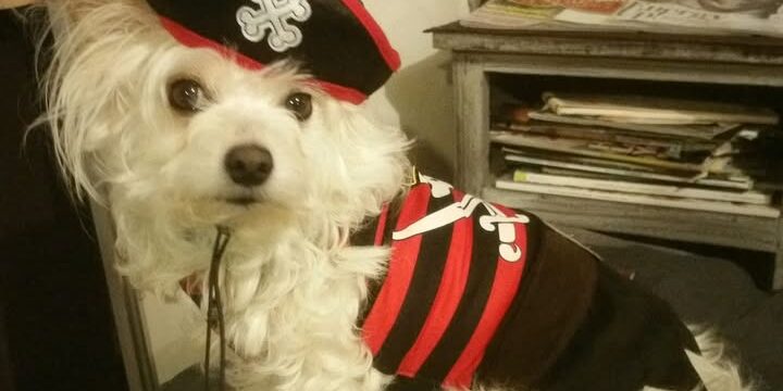 GIZZY-PIRATE-BOY