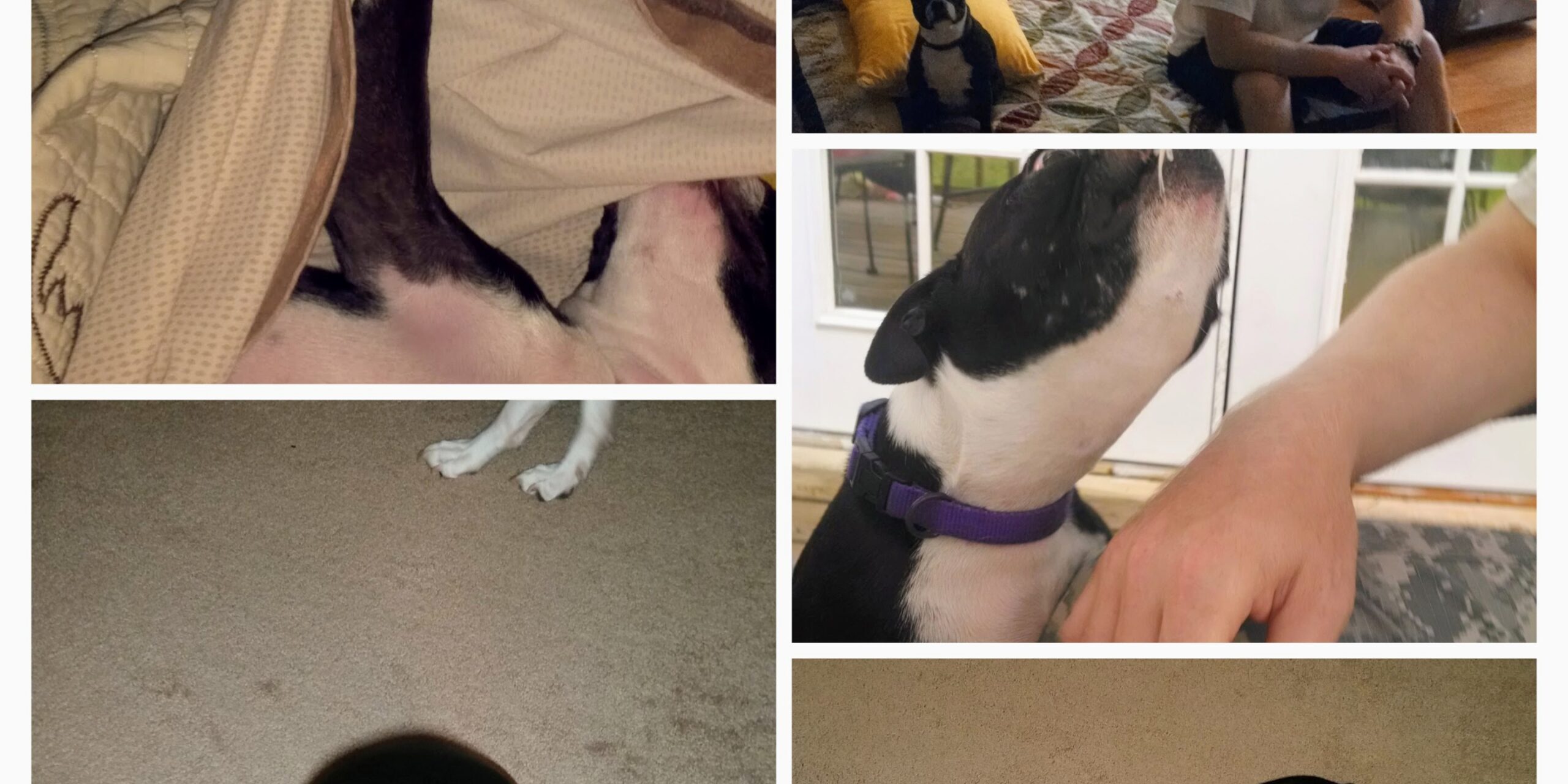 20260417_020913-COLLAGE2